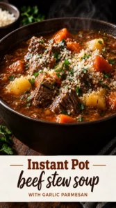 A bowl of hearty beef stew with tender chunks of meat, carrots, and potatoes, topped with grated Parmesan cheese.